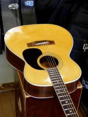 Jullian '70s F-200_10