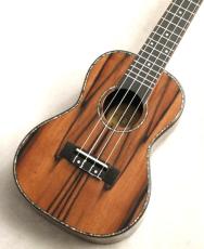DCT 【入門おススメモデル!】 DUC-800 【エボニーの綺麗な杢目が魅力!_2