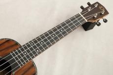 DCT 【入門おススメモデル!】 DUC-800 【エボニーの綺麗な杢目が魅力!_5