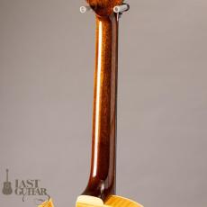 Rozeo Ladybug LA-CTM SCM/NAT_7