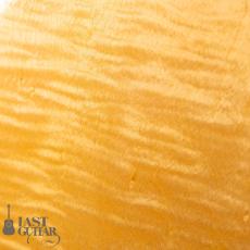 Rozeo Ladybug LA-CTM SCM/NAT_9