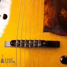 Rozeo Ladybug LA-CTM SCM/VS_3