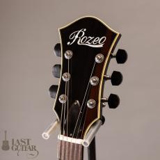 Rozeo Ladybug LA-CTM SCM/VS_5