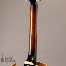 Rozeo Ladybug LA-CTM SCM/VS_7