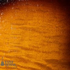 Rozeo Ladybug LA-CTM SCM/VS_9