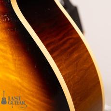 Rozeo Ladybug LA-CTM SCM/VS_10