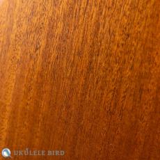 Arimitsu Guitar Craft Concert Cedar Maho_10