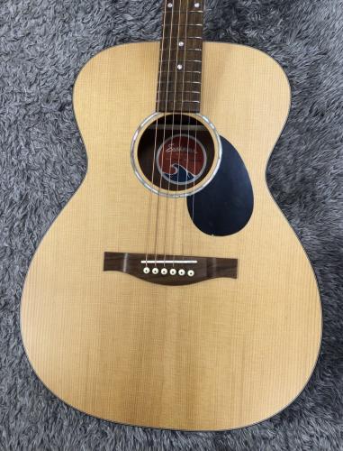 Eastman PCH1-OM 【トップ単板】