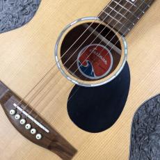 Eastman PCH1-OM 【トップ単板】_4