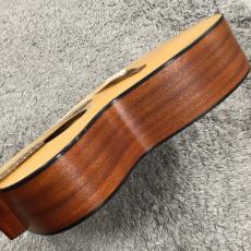 Eastman PCH1-OM 【トップ単板】_10