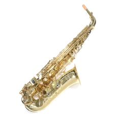 YANAGISAWA A-WO10