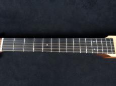 Martin Backpacker GTR_4