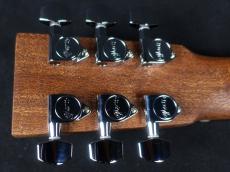 Martin Backpacker GTR_9