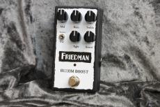 Friedman Buxom Boost