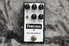 Friedman Buxom Boost_2