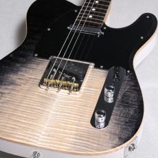 テレキャスター・タイプ、22フレット、アッシュ、メイプルの検索結果1