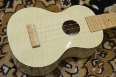 Famous FS-S10/N_5
