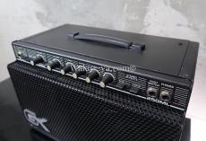 GALLIEN-KRUEGER 250ML / SELIES II _5