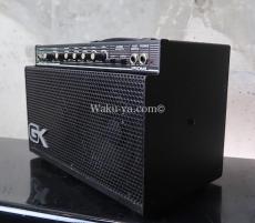 GALLIEN-KRUEGER 250ML / SELIES II _6