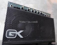 GALLIEN-KRUEGER 250ML / SELIES II _7