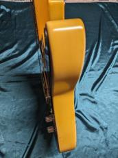 LGuitar  LG-TE-JB/AG_12