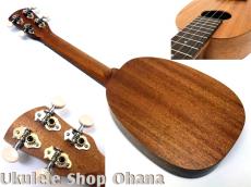 KIGE Work Shop [Simple Series]コンサート パイナップル サペリ(表裏1P)_2