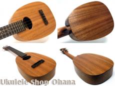 KIGE Work Shop [Simple Series]コンサート パイナップル サペリ(表裏1P)_3