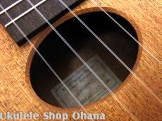 KIGE Work Shop [Simple Series]コンサート パイナップル サペリ(表裏1P)_5