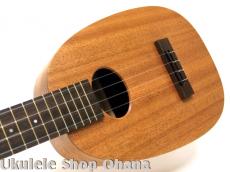 KIGE Work Shop [Simple Series]コンサート パイナップル サペリ(表裏1P)_6