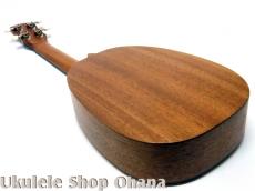 KIGE Work Shop [Simple Series]コンサート パイナップル サペリ(表裏1P)_9