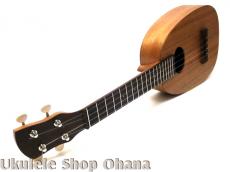 KIGE Work Shop [Simple Series]コンサート パイナップル サペリ(表裏1P)_11