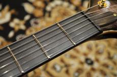 Edwards E-MYSTIQUE STPRSB_6