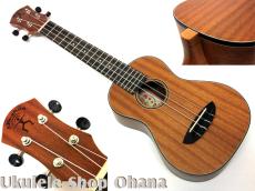 aNueNue [aNN-MCM] ミニコンサート マホガニー合板