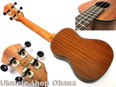 aNueNue [aNN-MCM] ミニコンサート マホガニー合板_2