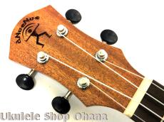 aNueNue [aNN-MCM] ミニコンサート マホガニー合板_5