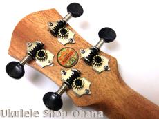 aNueNue [aNN-MCM] ミニコンサート マホガニー合板_6