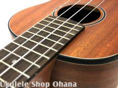 aNueNue [aNN-MCM] ミニコンサート マホガニー合板_7