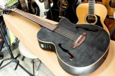 ARIA  FET-F2 STBK 　Fホール　エレアコ　サテン　ブラック　黒　Satin Black_2