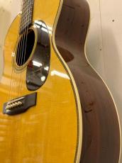 Martin 2025年製　000-28EC　♯3008663【無金利分割OK】【送料込み】_5