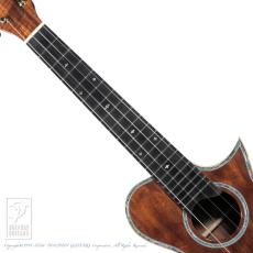 KAWAKAMI GUITARS NWUT-4 (ALL Flame Mahogany)_5