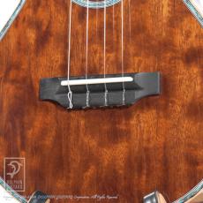 KAWAKAMI GUITARS NWUT-4 (ALL Flame Mahogany)_11