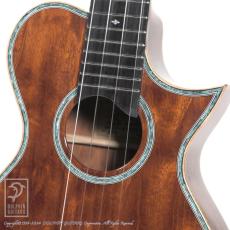 KAWAKAMI GUITARS NWUT-4 (ALL Flame Mahogany)_12