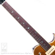 ARIA PROll PE-5450CR/SH_5