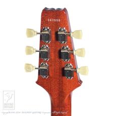 ARIA PROll PE-5450CR/SH_8