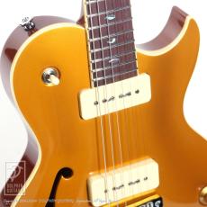 ARIA PROll PE-5450CR/SH_11