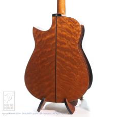 Somogyi Modified D Cutaway_4