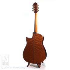 Somogyi Modified D Cutaway_5