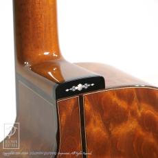 Somogyi Modified D Cutaway_8