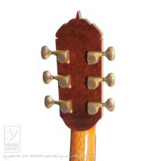 Somogyi Modified D Cutaway_12