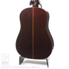 Martin D12-20 (12 Strings)_3